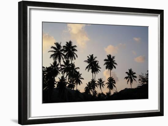 The Seychelles, La Digue, Beach, Palms, Grand' Anse, Dusk-Catharina Lux-Framed Photographic Print