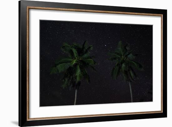 The Seychelles, La Digue, Palms, Starry Sky-Catharina Lux-Framed Photographic Print