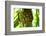 The Seychelles, La Digue, Pandanus-Catharina Lux-Framed Photographic Print