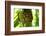 The Seychelles, La Digue, Pandanus-Catharina Lux-Framed Photographic Print