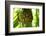 The Seychelles, La Digue, Pandanus-Catharina Lux-Framed Photographic Print