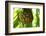 The Seychelles, La Digue, Pandanus-Catharina Lux-Framed Photographic Print