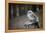 The Seychelles, La Digue, Young Bird-Catharina Lux-Framed Premier Image Canvas