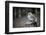 The Seychelles, La Digue, Young Bird-Catharina Lux-Framed Photographic Print