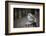 The Seychelles, La Digue, Young Bird-Catharina Lux-Framed Photographic Print