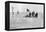 The Shackleton Camp, Antarctica, Christmas Day, 1908-null-Framed Premier Image Canvas