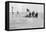 The Shackleton Camp, Antarctica, Christmas Day, 1908-null-Framed Premier Image Canvas
