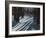 The Shadow of Memory-John Morrow-Framed Giclee Print