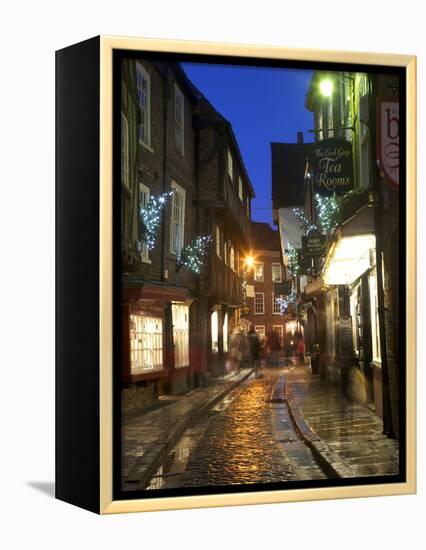 The Shambles at Christmas, York, Yorkshire, England, United Kingdom, Europe-Mark Sunderland-Framed Premier Image Canvas