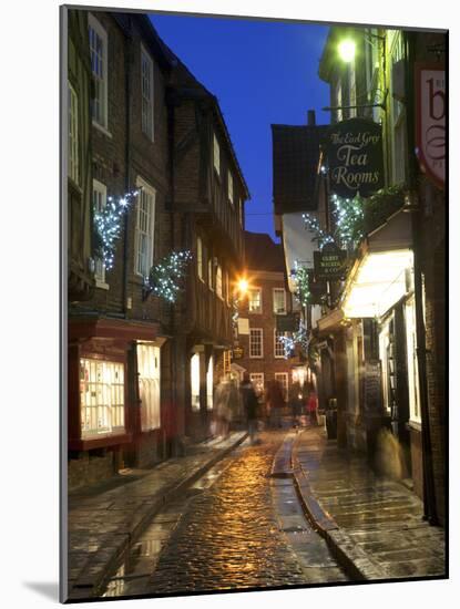 The Shambles at Christmas, York, Yorkshire, England, United Kingdom, Europe-Mark Sunderland-Mounted Photographic Print