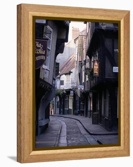 The Shambles, York, Yorkshire, England, United Kingdom-Adam Woolfitt-Framed Premier Image Canvas