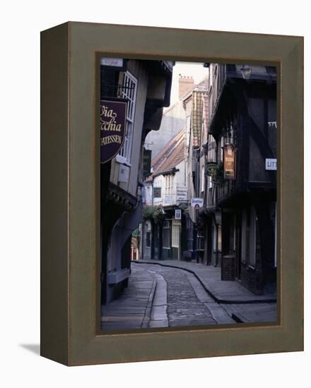 The Shambles, York, Yorkshire, England, United Kingdom-Adam Woolfitt-Framed Premier Image Canvas