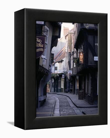 The Shambles, York, Yorkshire, England, United Kingdom-Adam Woolfitt-Framed Premier Image Canvas