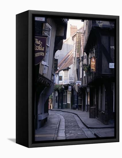 The Shambles, York, Yorkshire, England, United Kingdom-Adam Woolfitt-Framed Premier Image Canvas