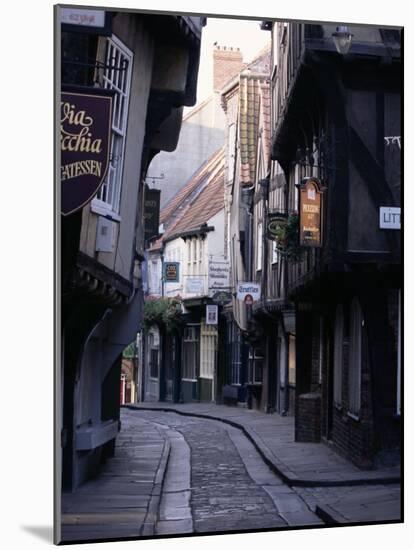 The Shambles, York, Yorkshire, England, United Kingdom-Adam Woolfitt-Mounted Photographic Print