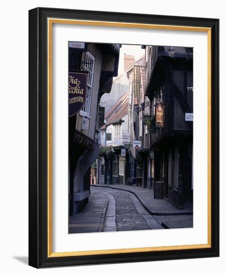 The Shambles, York, Yorkshire, England, United Kingdom-Adam Woolfitt-Framed Photographic Print