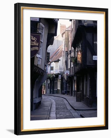 The Shambles, York, Yorkshire, England, United Kingdom-Adam Woolfitt-Framed Photographic Print