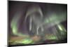 The Shapes of Green Light of the Aurora Borealis Color the Sky, Lyngen Alps, Troms, Lapland, Norway-Roberto Moiola-Mounted Photographic Print