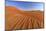 The Shapes of Sand Constantly Shaped by the Wind, Sossusvlei, Namib Naukluft National Park-Roberto Moiola-Mounted Photographic Print