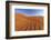 The Shapes of Sand Constantly Shaped by the Wind, Sossusvlei, Namib Naukluft National Park-Roberto Moiola-Framed Photographic Print