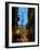 The Shard from City of London, London, England, United Kingdom, Europe-Frank Fell-Framed Photographic Print