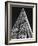 The Shard in Mono-Adrian Campfield-Framed Photographic Print