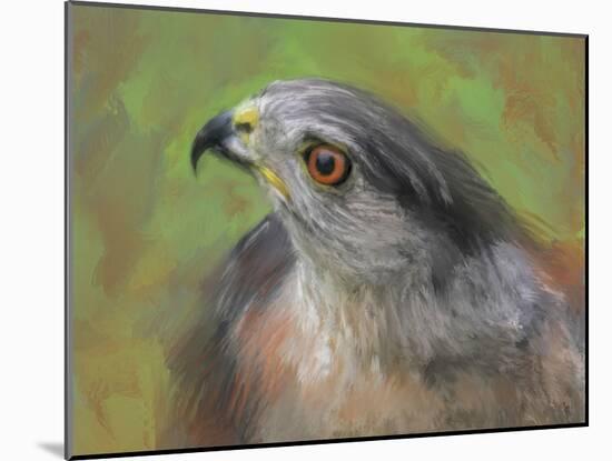 The Sharp Shinned Hawk-Jai Johnson-Mounted Giclee Print