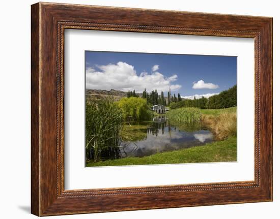 The Shed and Pond, Northburn Vineyard, Central Otago, South Island, New Zealand-David Wall-Framed Photographic Print