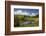 The Shed and Pond, Northburn Vineyard, Central Otago, South Island, New Zealand-David Wall-Framed Photographic Print