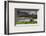 The Sheep and the Lonely House-Trey Ratcliff-Framed Photographic Print