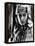 The Sheik, Rudolph Valentino, 1921-null-Framed Stretched Canvas