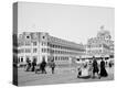 Stretched Canvas Print