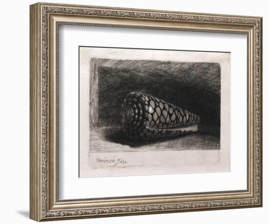 The Shell-Rembrandt van Rijn-Framed Giclee Print