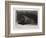 The Shell-Rembrandt van Rijn-Framed Giclee Print