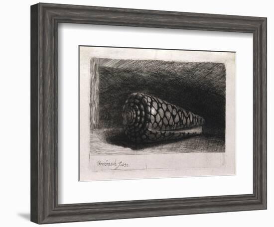 The Shell-Rembrandt van Rijn-Framed Giclee Print