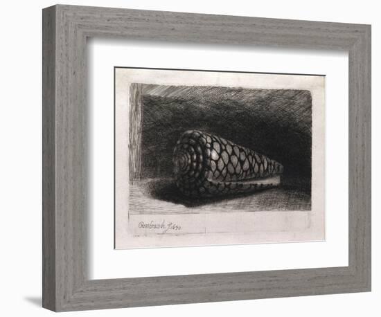 The Shell-Rembrandt van Rijn-Framed Giclee Print