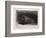 The Shell-Rembrandt van Rijn-Framed Giclee Print