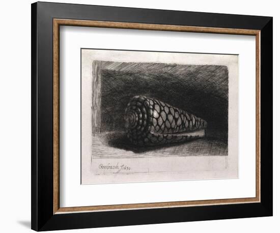 The Shell-Rembrandt van Rijn-Framed Giclee Print