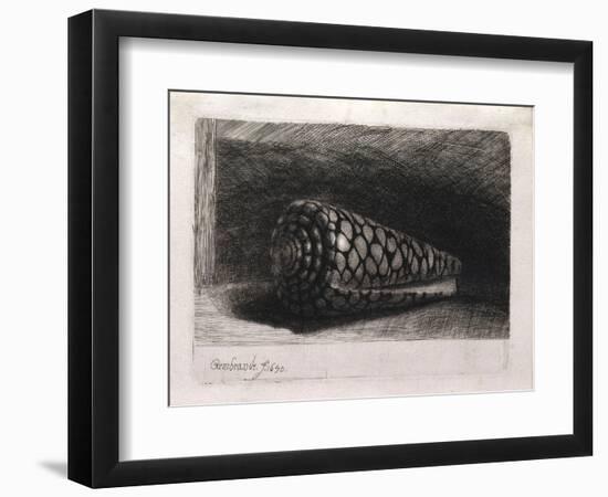 The Shell-Rembrandt van Rijn-Framed Giclee Print