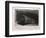 The Shell-Rembrandt van Rijn-Framed Giclee Print