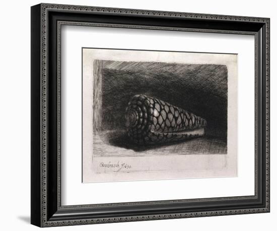 The Shell-Rembrandt van Rijn-Framed Giclee Print