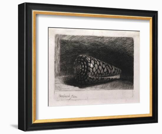 The Shell-Rembrandt van Rijn-Framed Giclee Print