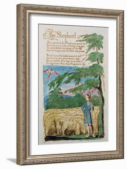 The Shepherd, from Songs of Innocence, 1789-William Blake-Framed Giclee Print