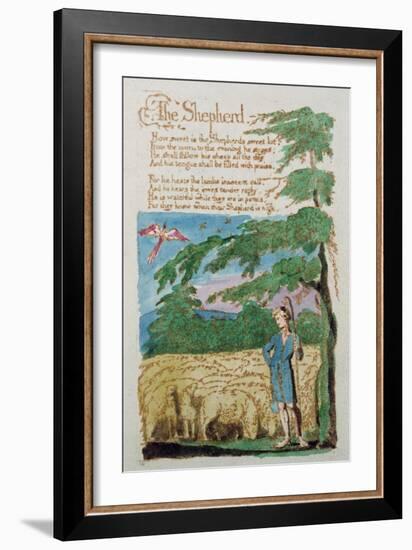 The Shepherd, from Songs of Innocence, 1789-William Blake-Framed Giclee Print