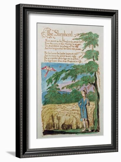 The Shepherd, from Songs of Innocence, 1789-William Blake-Framed Giclee Print