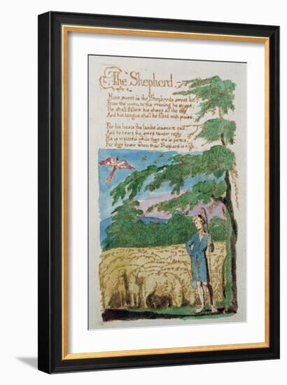 The Shepherd, from Songs of Innocence, 1789-William Blake-Framed Giclee Print