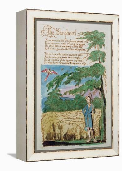 The Shepherd, from Songs of Innocence, 1789-William Blake-Framed Premier Image Canvas
