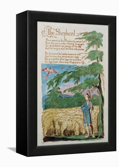 The Shepherd, from Songs of Innocence, 1789-William Blake-Framed Premier Image Canvas