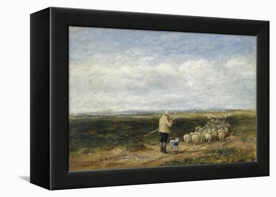 The Shepherd, Return of the Flock, 1850 (Oil on Board)-David Cox-Framed Premier Image Canvas