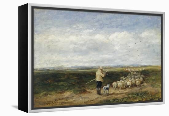 The Shepherd, Return of the Flock, 1850 (Oil on Board)-David Cox-Framed Premier Image Canvas